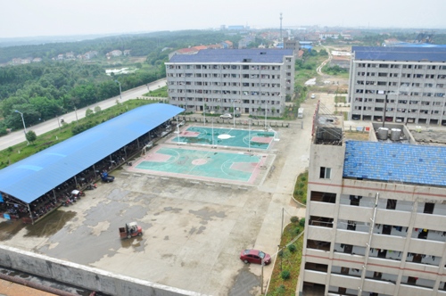 天欣科技工廠行——低調前行的行業“巨頭”